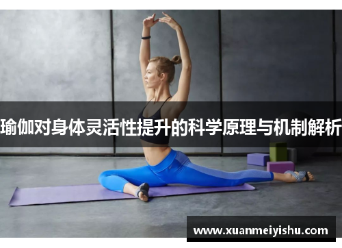 瑜伽对身体灵活性提升的科学原理与机制解析