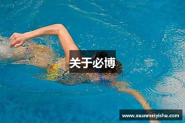 关于必博